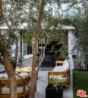 a view of a patio with table and chairs potted plants and large tree
