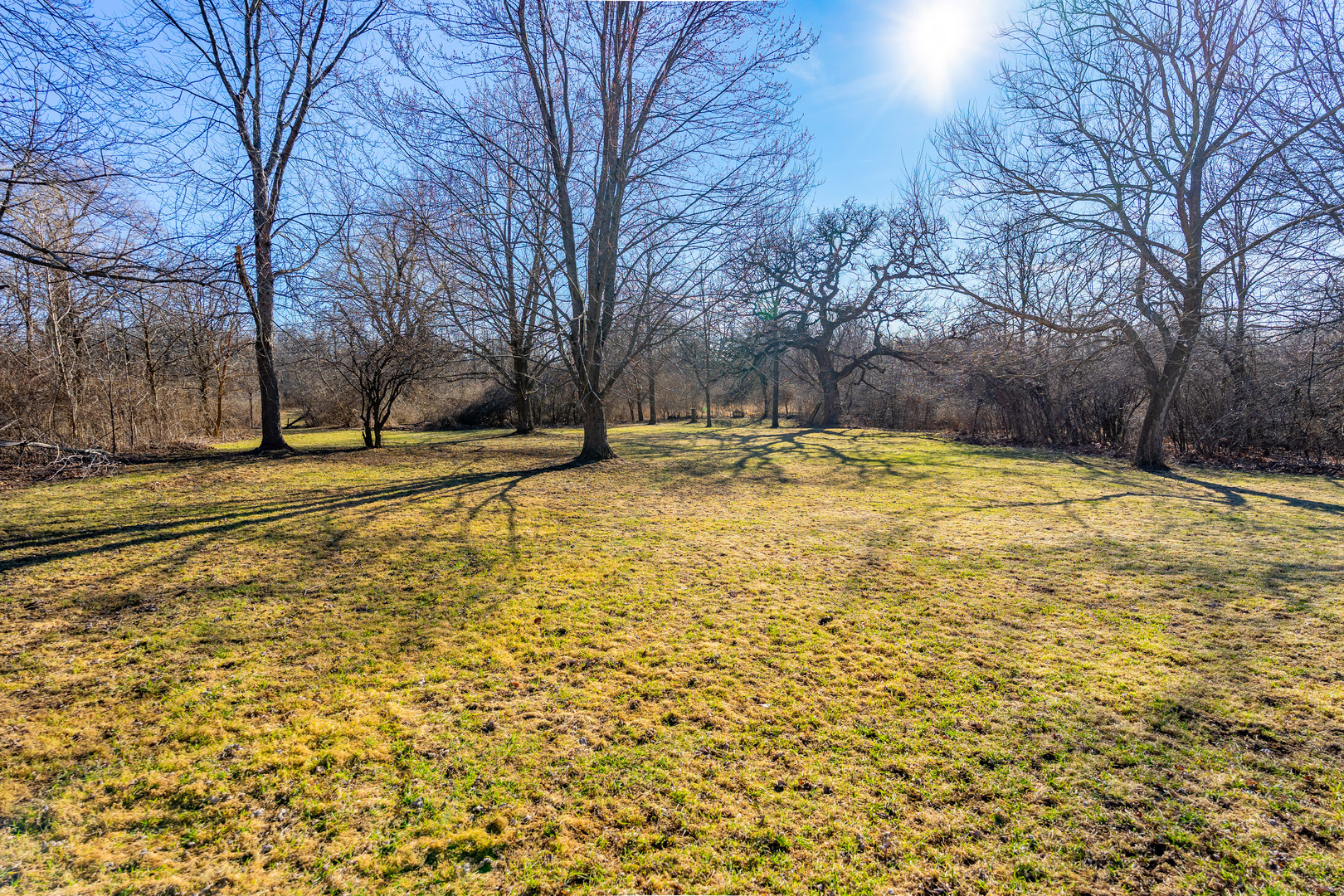 10901 Gasch Road Harvard, IL 60033 - Photo 38 of 46 a view of a swimming pool with a yard and trees