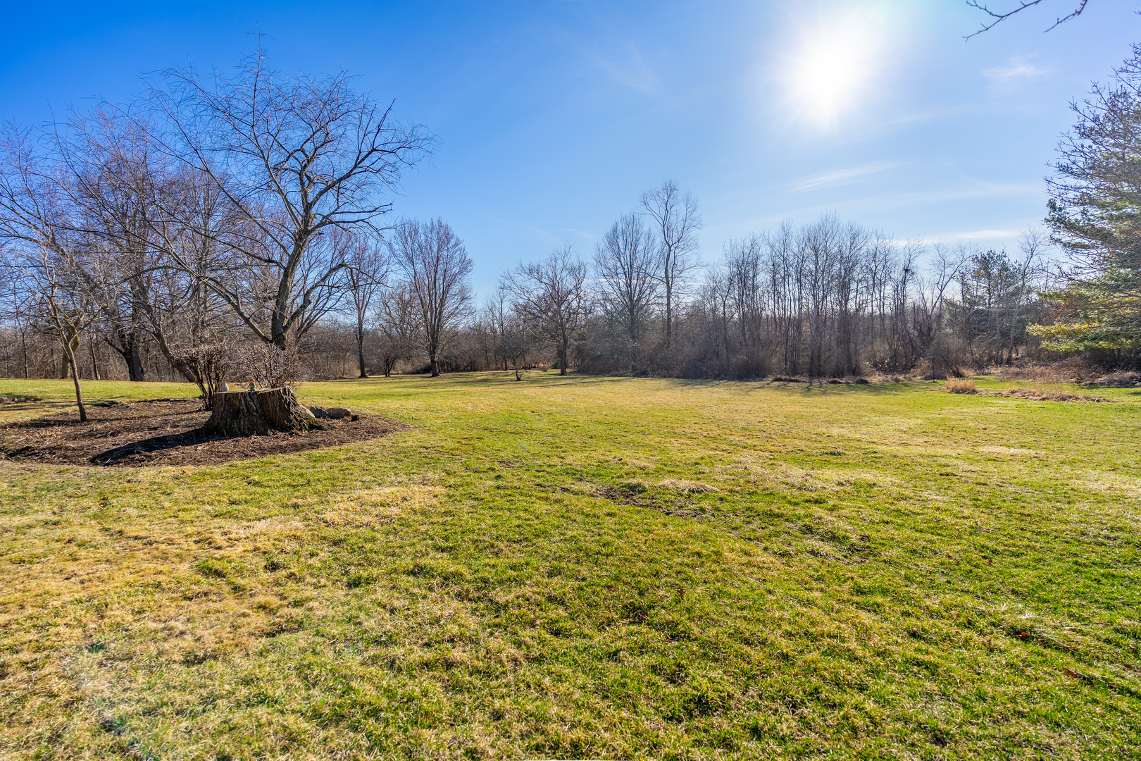 10901 Gasch Road Harvard, IL 60033 - Photo 40 of 46 a view of a pool with a yard