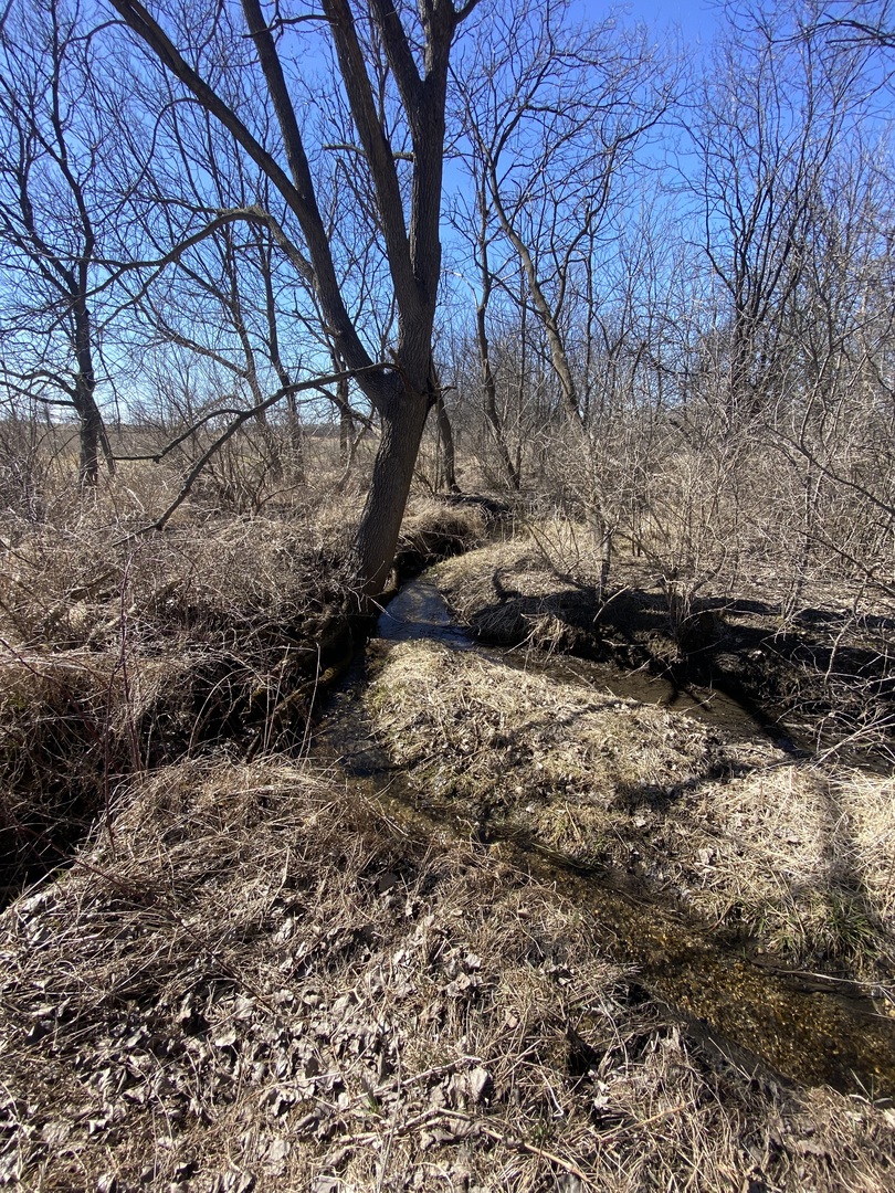 10901 Gasch Road Harvard, IL 60033 - Photo 43 of 46 a view of covered with snow