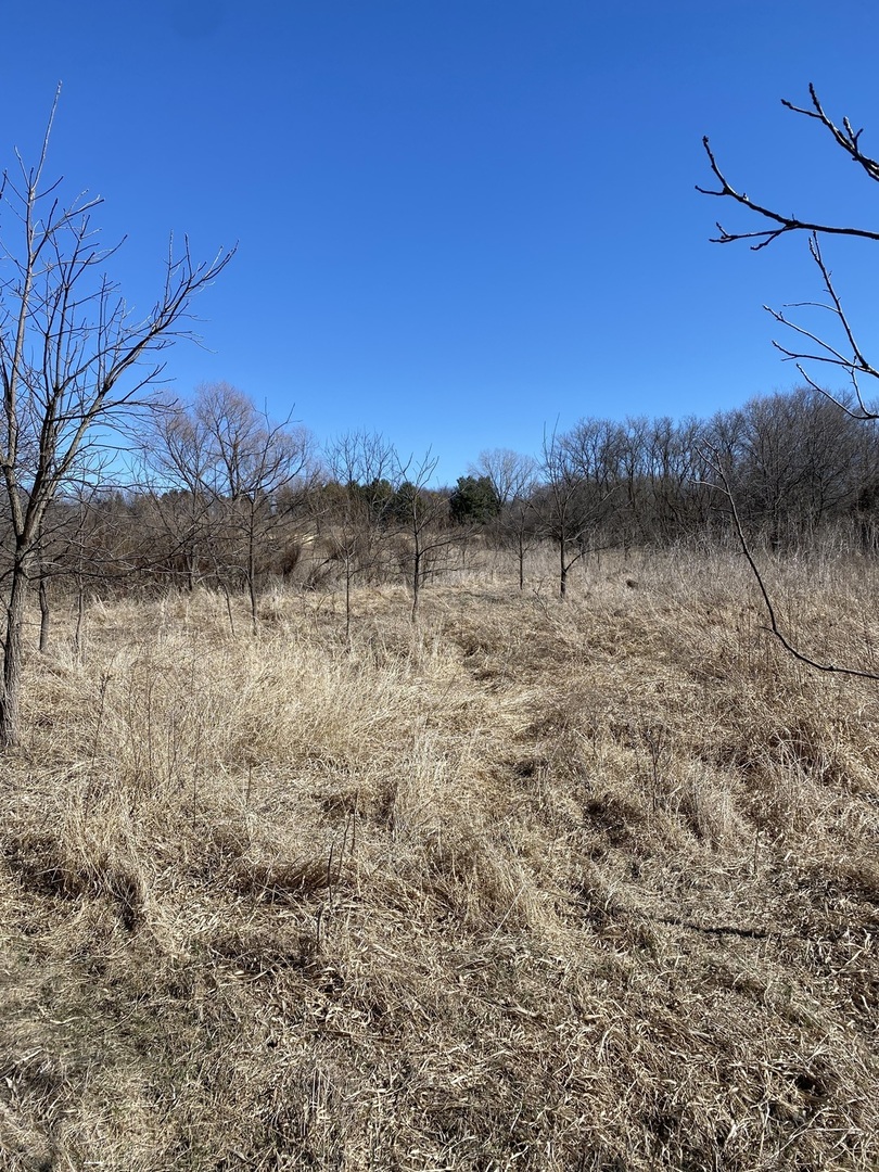 10901 Gasch Road Harvard, IL 60033 - Photo 44 of 46 a view of lake with mountain