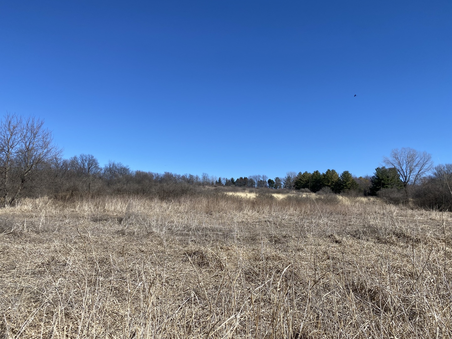 10901 Gasch Road Harvard, IL 60033 - Photo 45 of 46 a view of lake with mountain