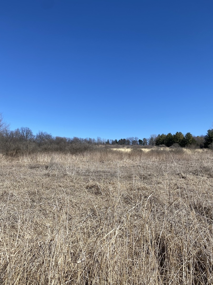 10901 Gasch Road Harvard, IL 60033 - Photo 46 of 46 a view of lake and mountain