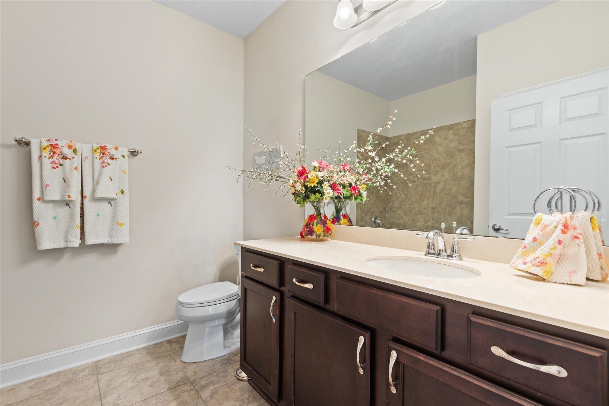 256 Vivian James Drive St. Augustine, FL 32092 - Photo 35 of 57 a bathroom with a sink mirror and toilet