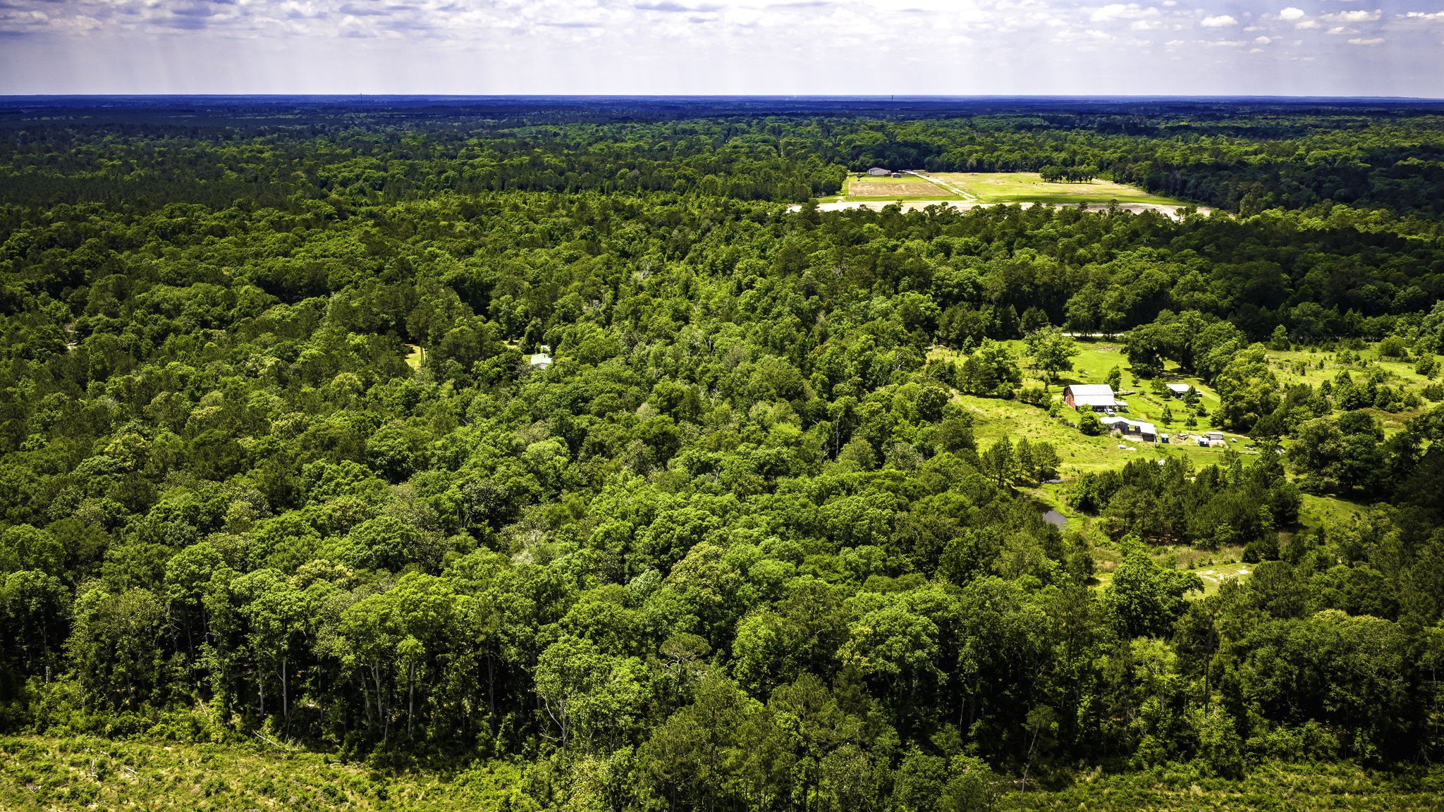 5800 Outlaw Bend Road Livingston, TX 77351 - Photo 7 of 29 a view of a yard