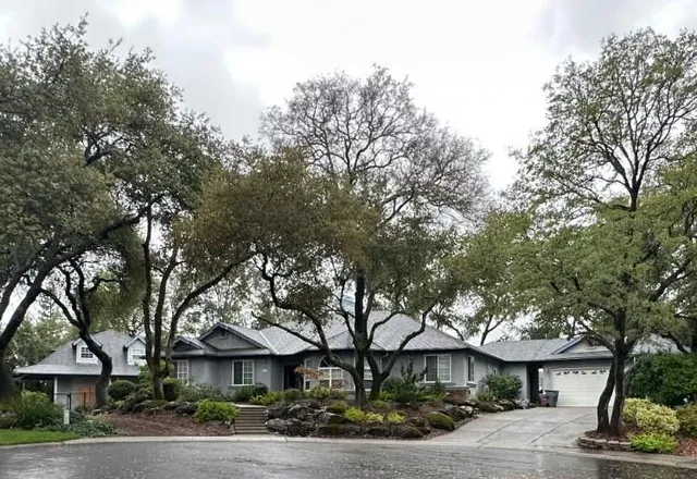 a front view of a house with a garden and tree