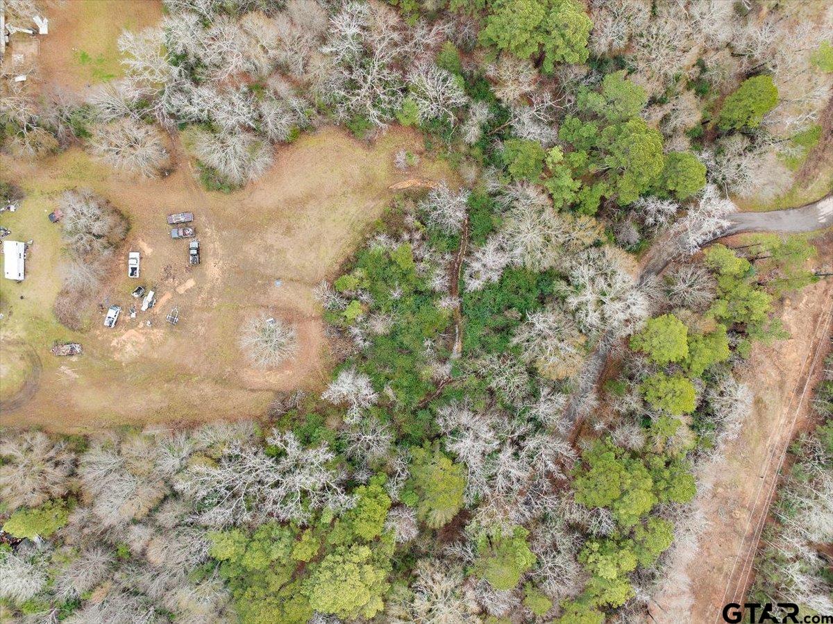 117 Wagoner Road Rusk, TX 75785 - Photo 14 of 17 a close up of a tree