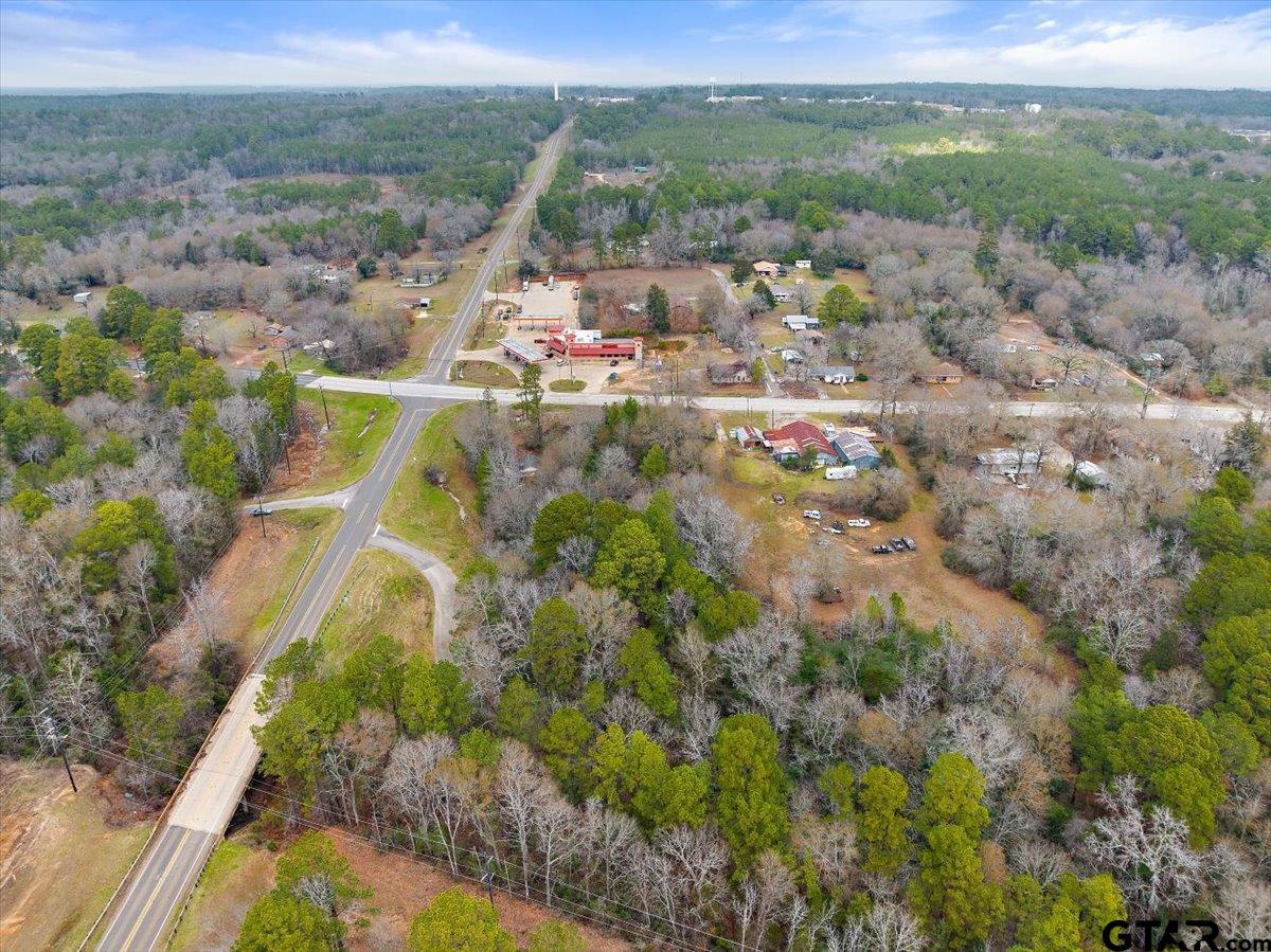 117 Wagoner Road Rusk, TX 75785 - Photo 2 of 17 a view of a city with ocean view