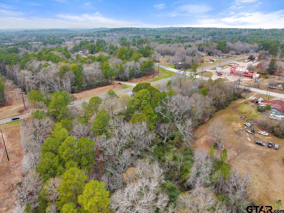 117 Wagoner Road Rusk, TX 75785 - Photo 6 of 17 a view of a city with green space