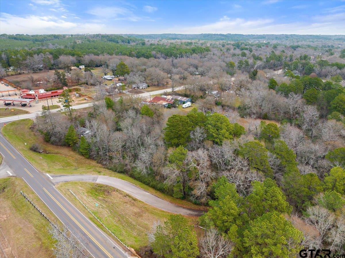 117 Wagoner Road Rusk, TX 75785 - Photo 10 of 17 a view of a lake with mountains in the background