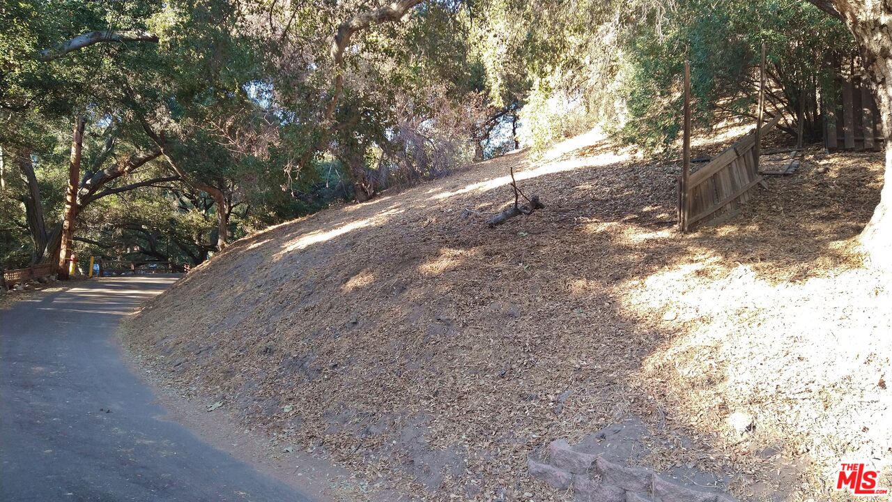 12300 Spring Trail Sylmar, CA 91342 - Photo 2 of 10 a view of a yard with a tree