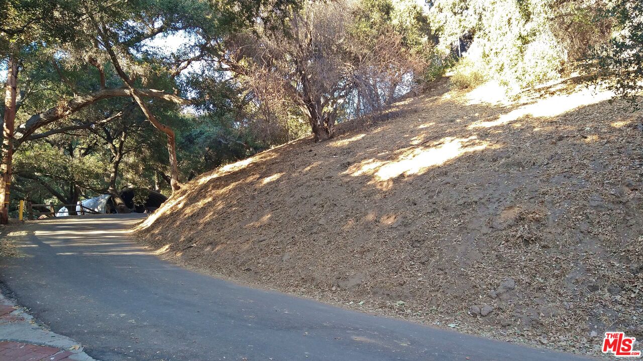 12300 Spring Trail Sylmar, CA 91342 - Photo 3 of 10 a backyard of a house with large trees