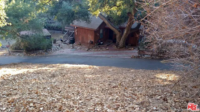 a view of a yard with plants and trees