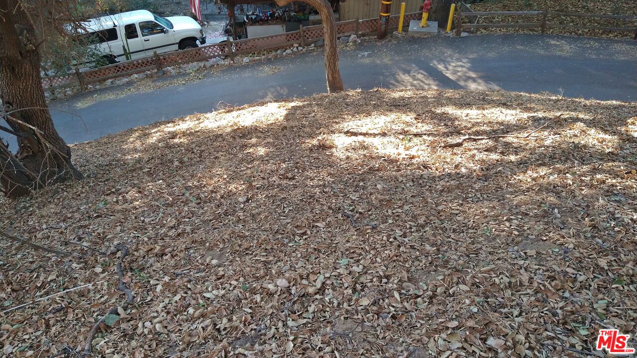 12300 Spring Trail Sylmar, CA 91342 - Photo 9 of 10 a view of a yard with plants and trees