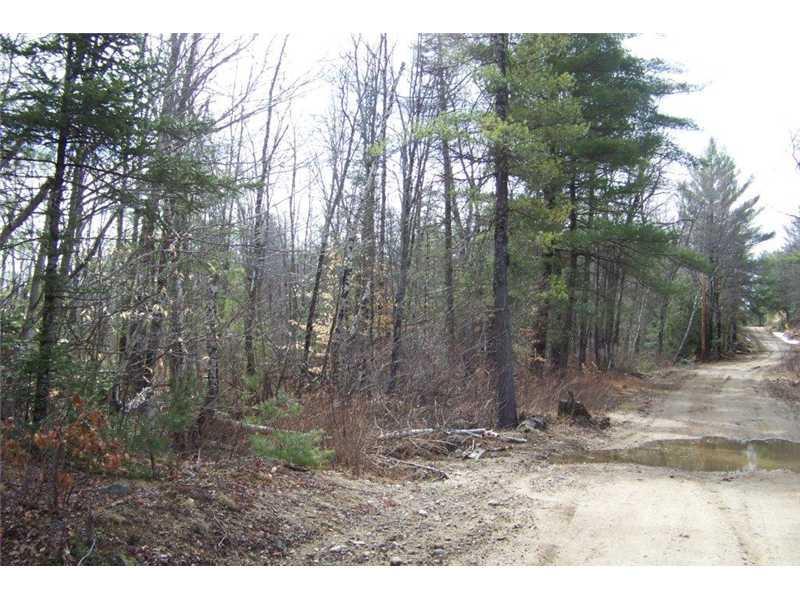 Lot 5 Lewis Hill Road West Newfield, ME 04095 - Photo 6 of 12 Other.