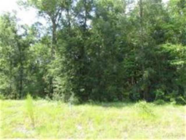 Xxx Linzy Store Road Crawfordville, FL 32327 - Photo 1 of 2 Gallery Image 1