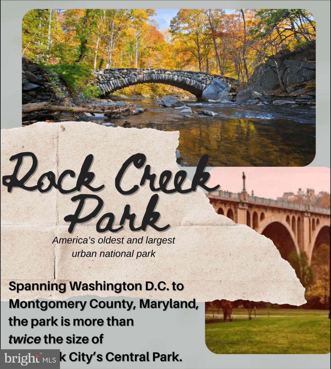 7510 Wyndale Road Chevy Chase, MD 20815 - Photo 39 of 50