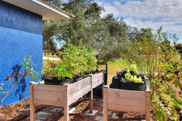 a view of outdoor space yard and patio