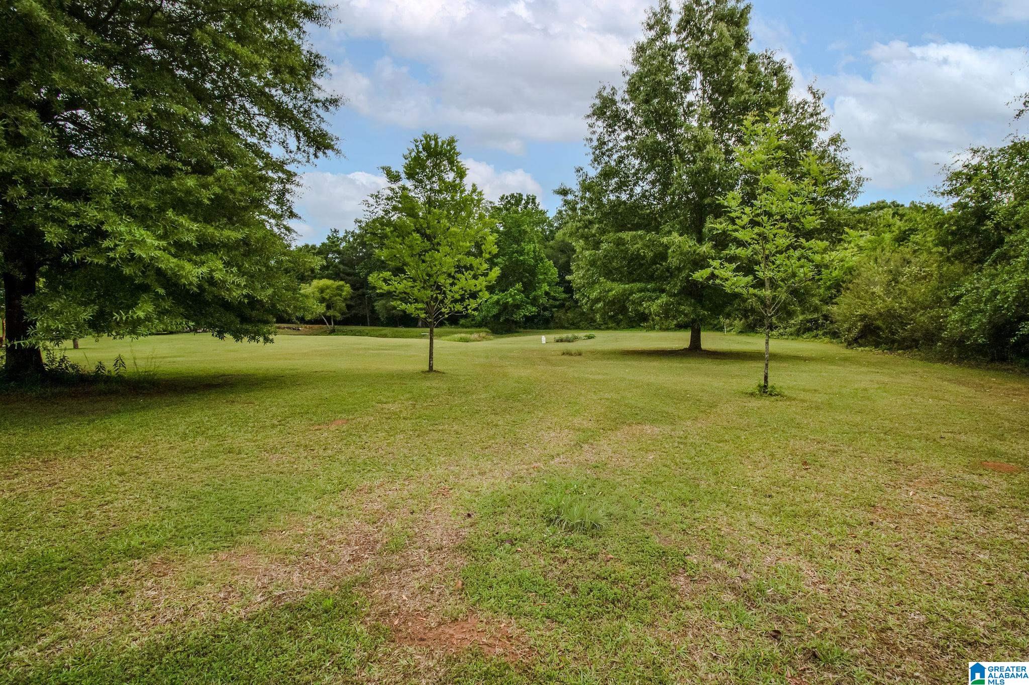 800 Curry Station Road Munford, AL 36268 - Photo 47 of 47