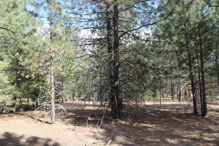 Xxx Rockcut Road Kettle Falls, WA 99141 - Photo 3 of 5 Gallery Image 3