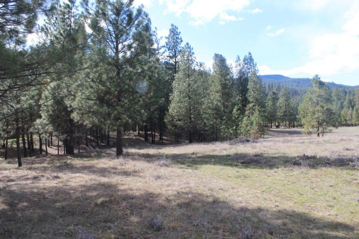 Xxx Rockcut Road Kettle Falls, WA 99141 - Photo 4 of 5 Gallery Image 4