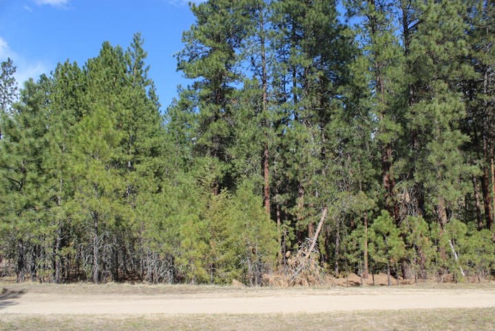 Xxx Rockcut Road Kettle Falls, WA 99141 - Photo 5 of 5 Gallery Image 5