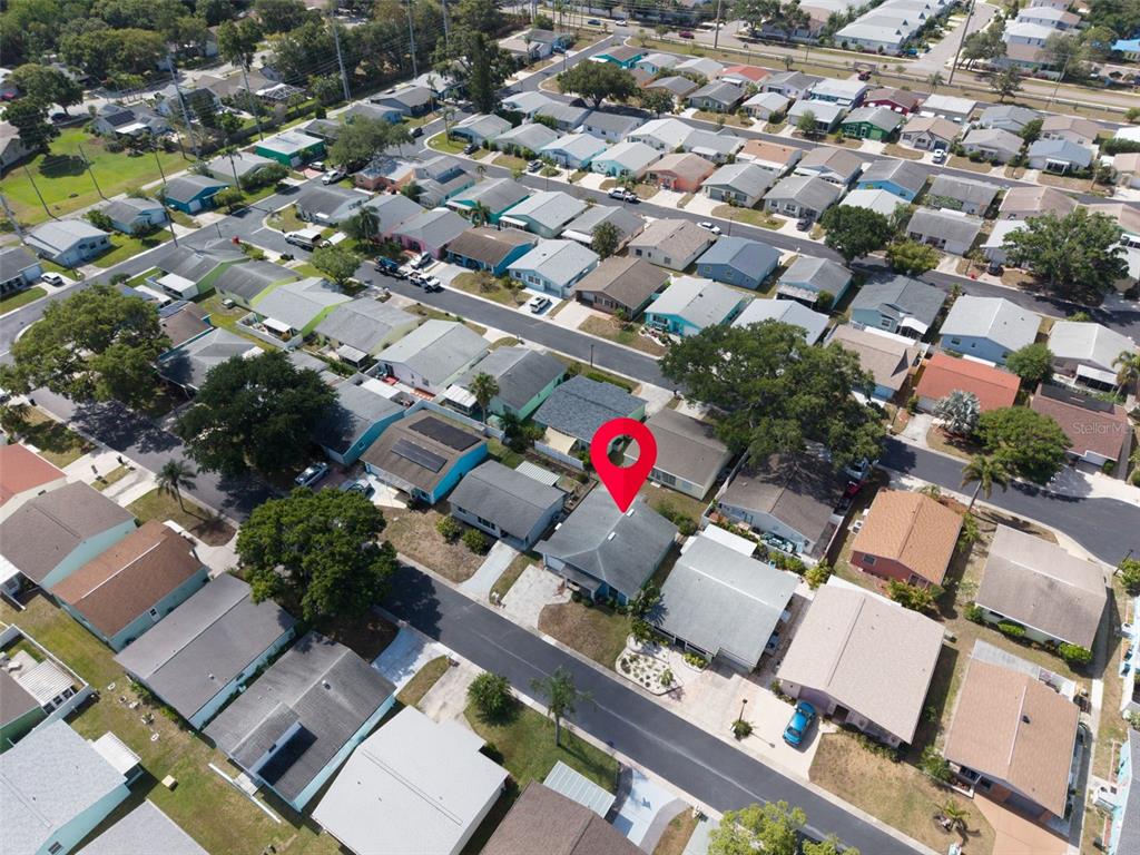 1009 Crane Court Dunedin, FL 34698 - Photo 46 of 63