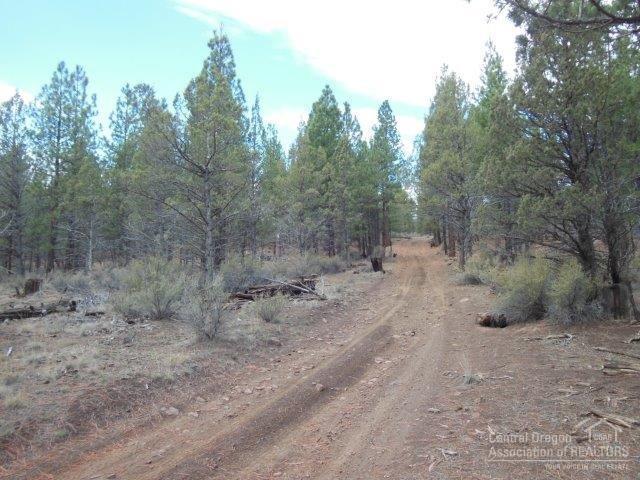 17785 Wilt Road Sisters, OR 97759 - Photo 25 of 25 a view of a forest with trees in the background