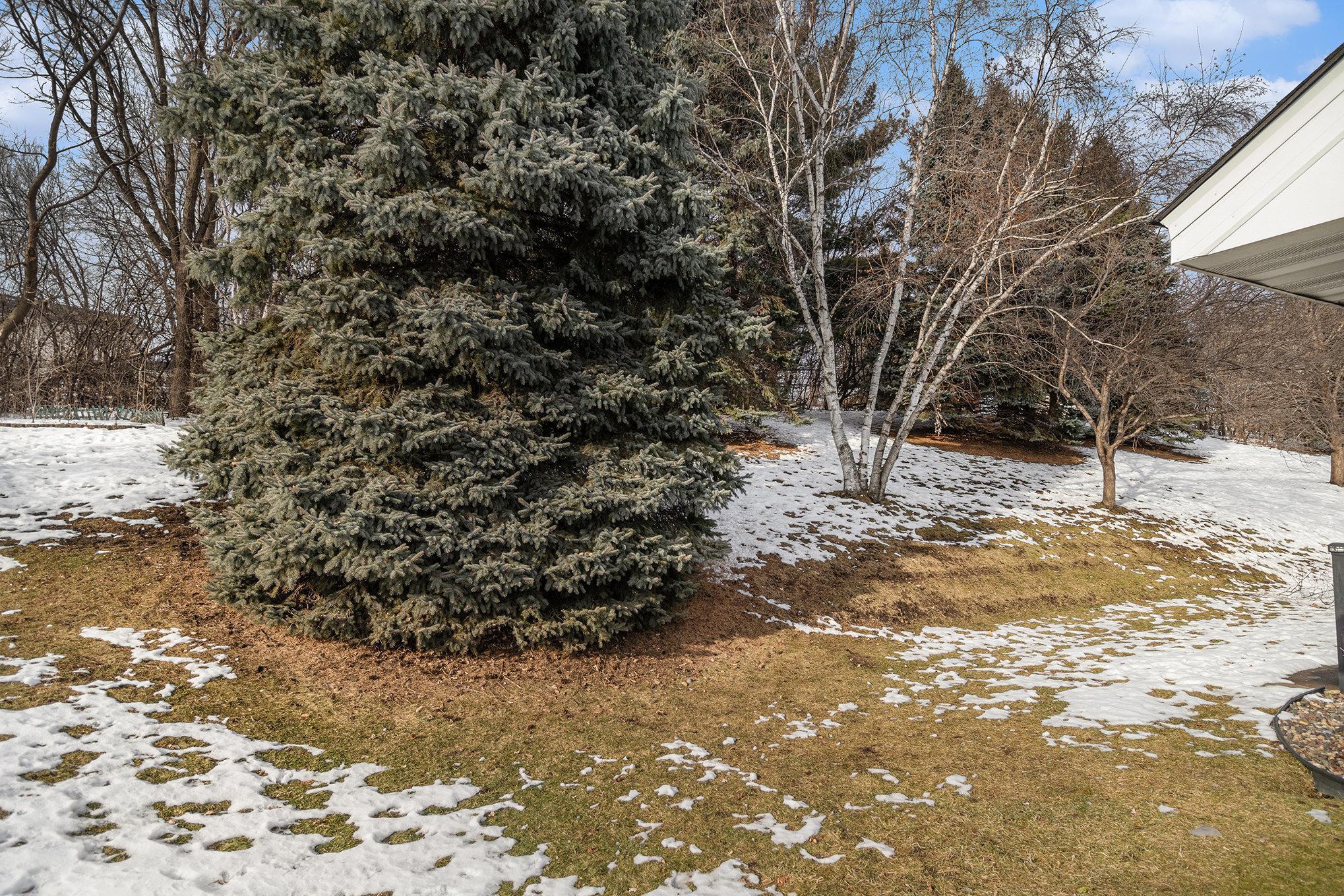 8571 Corcoran Path Inver Grove Heights, MN 55076 - Photo 30 of 32