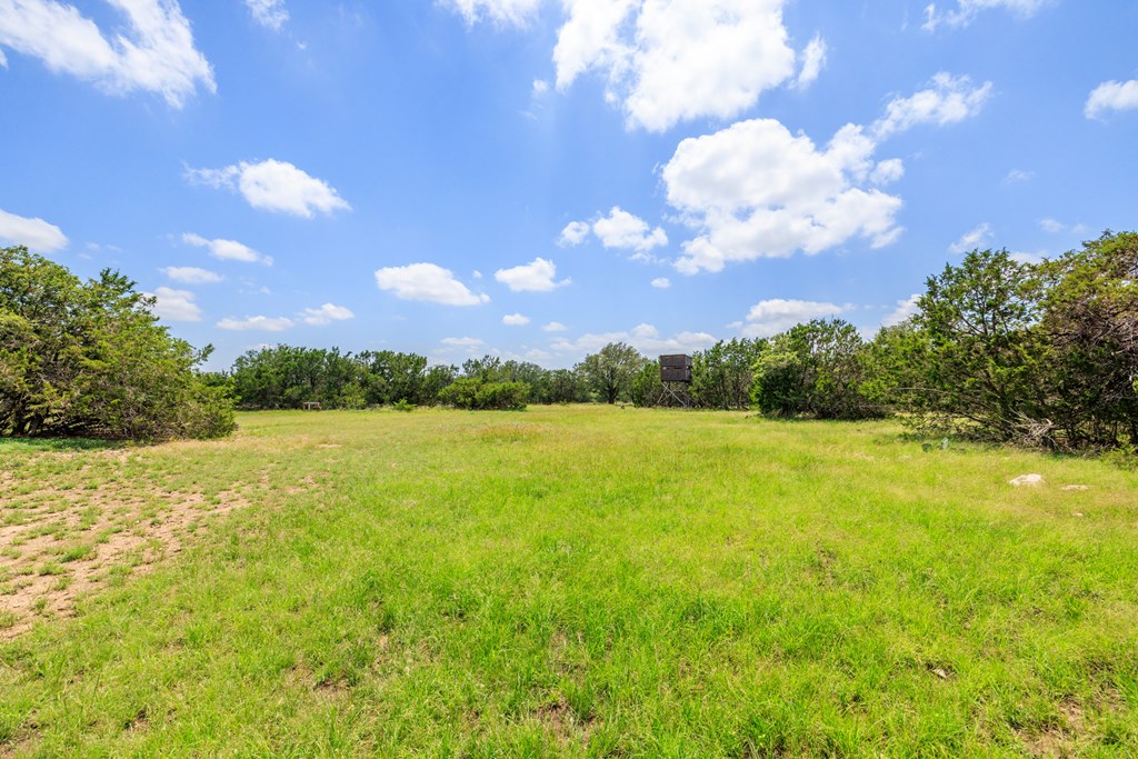 568 Tahoe Ranch Road, Unit 15 Harper, TX 78631 - Photo 8 of 18