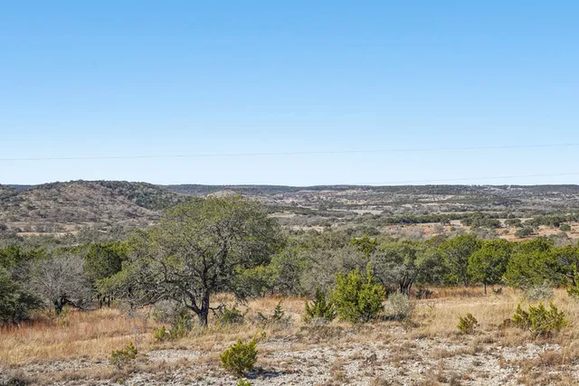 a view of a forest with mountains in the background