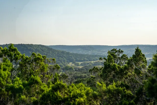 an aerial view of mountain with trees