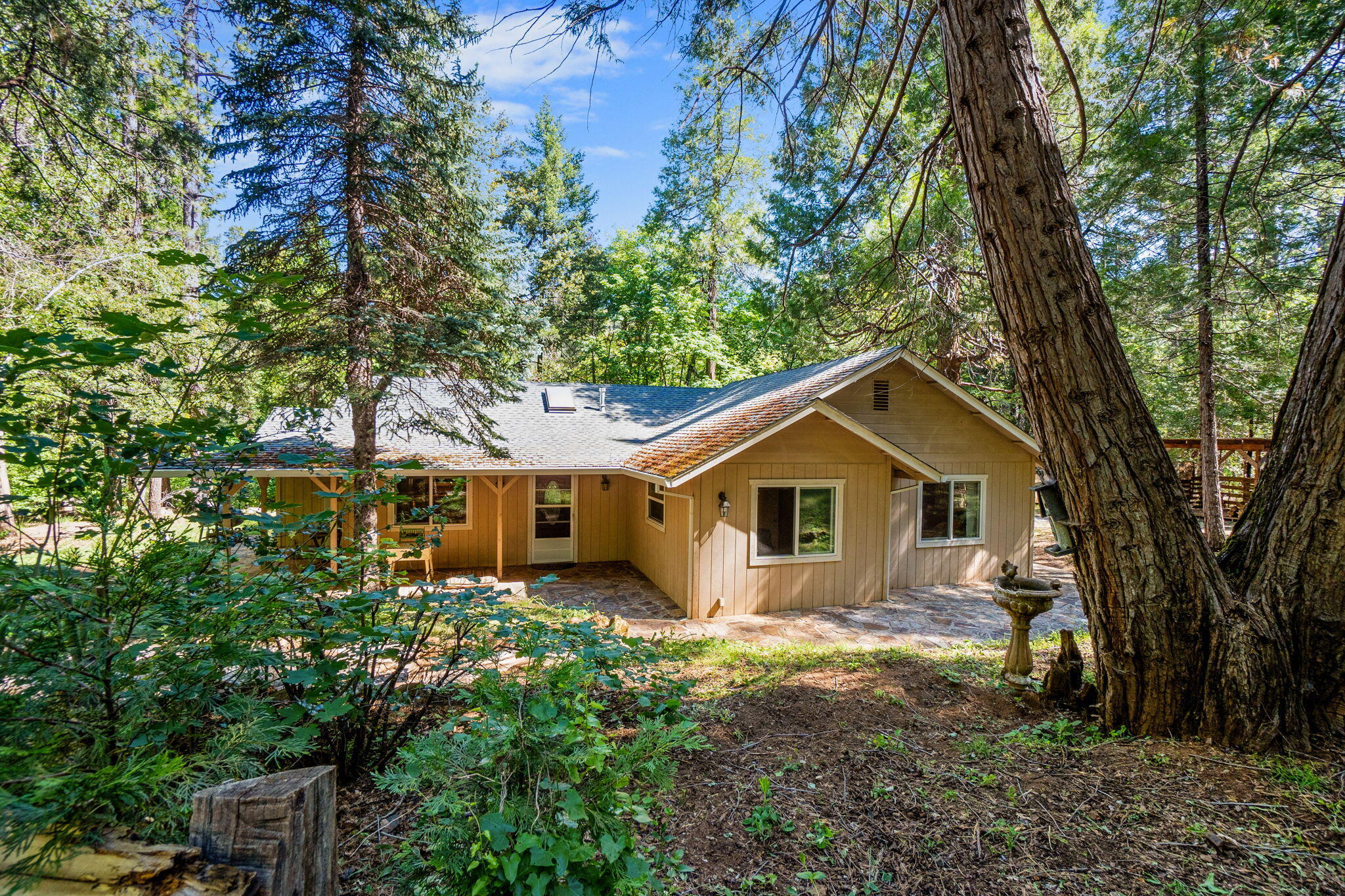 30303 Oak Run To Fern Road Whitmore, CA 96096 - Photo 2 of 75 a front view of a house with a yard and large trees