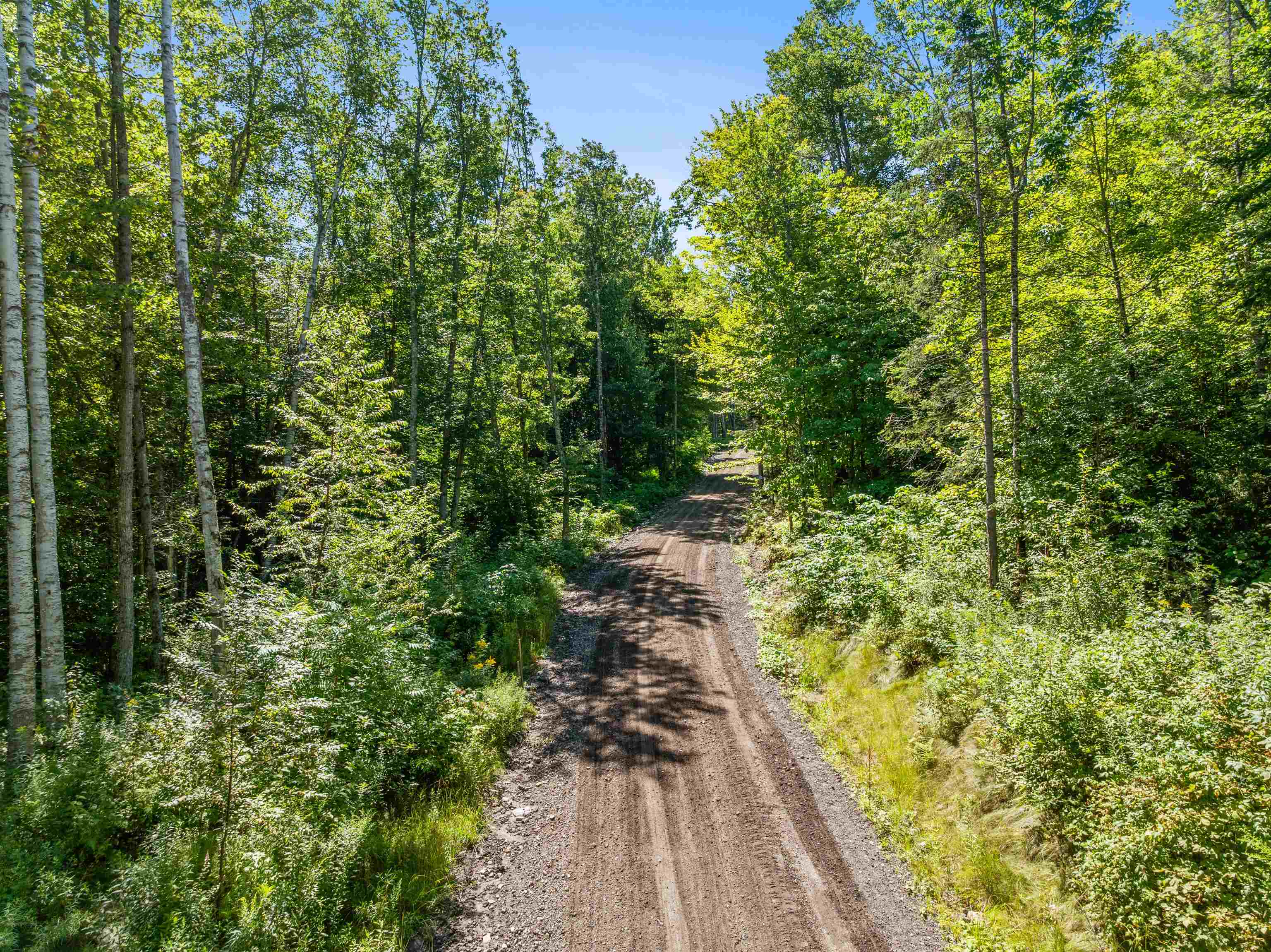 71 Ellsworth Pond Road Ellsworth, NH 03223 - Photo 50 of 60 Gallery Image 50