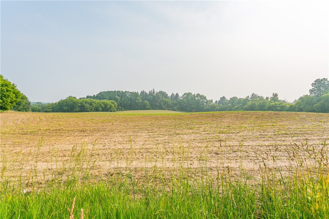 445 5 Points Road Rush, NY 14543 - Photo 38 of 40 The home is situated on the frontage of 60+ acres.