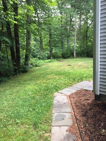 704 Valley Road Barre, MA 01005 - Photo 4 of 19 a view of a yard with a trees