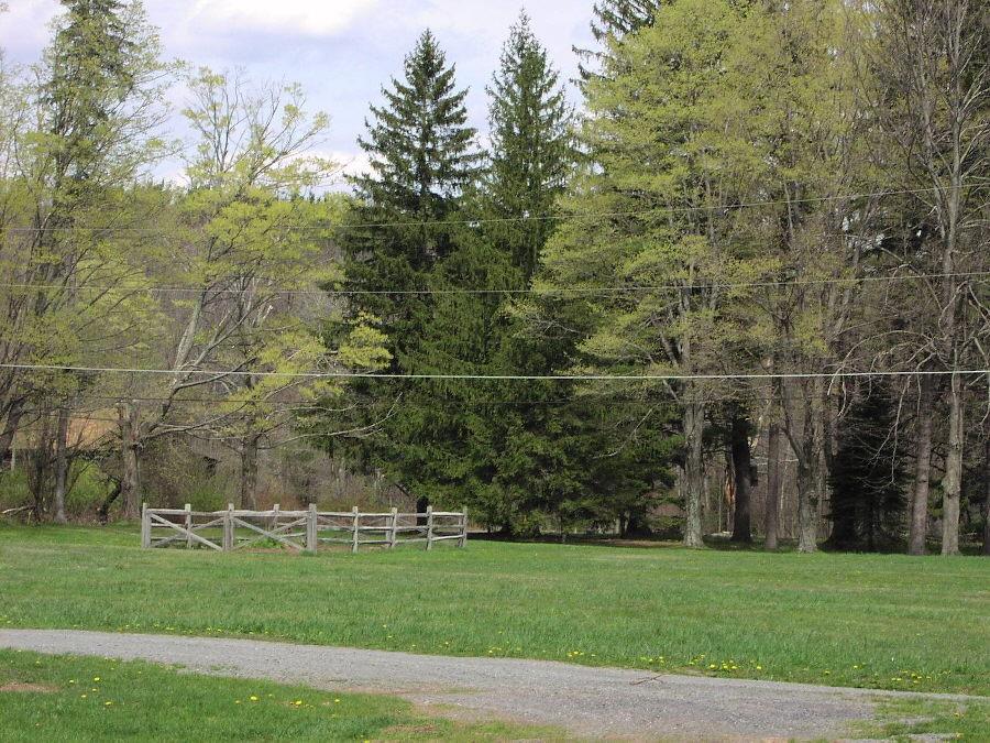 Lower Swiftwater Road Swiftwater, PA 18370 - Photo 1 of 2 a view of a green field