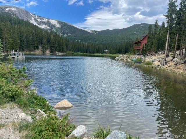 0 Lake Road Idaho Springs, CO 80452 - Photo 11 of 30 Gallery Image 11