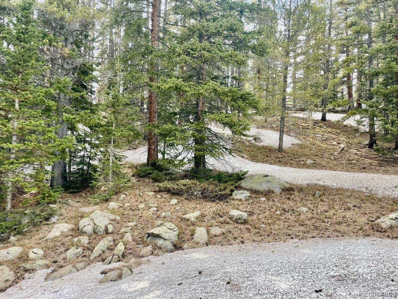 0 Lake Road Idaho Springs, CO 80452 - Photo 16 of 30 Gallery Image 16