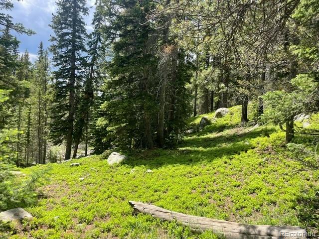 0 Lake Road Idaho Springs, CO 80452 - Photo 2 of 30 Gallery Image 2