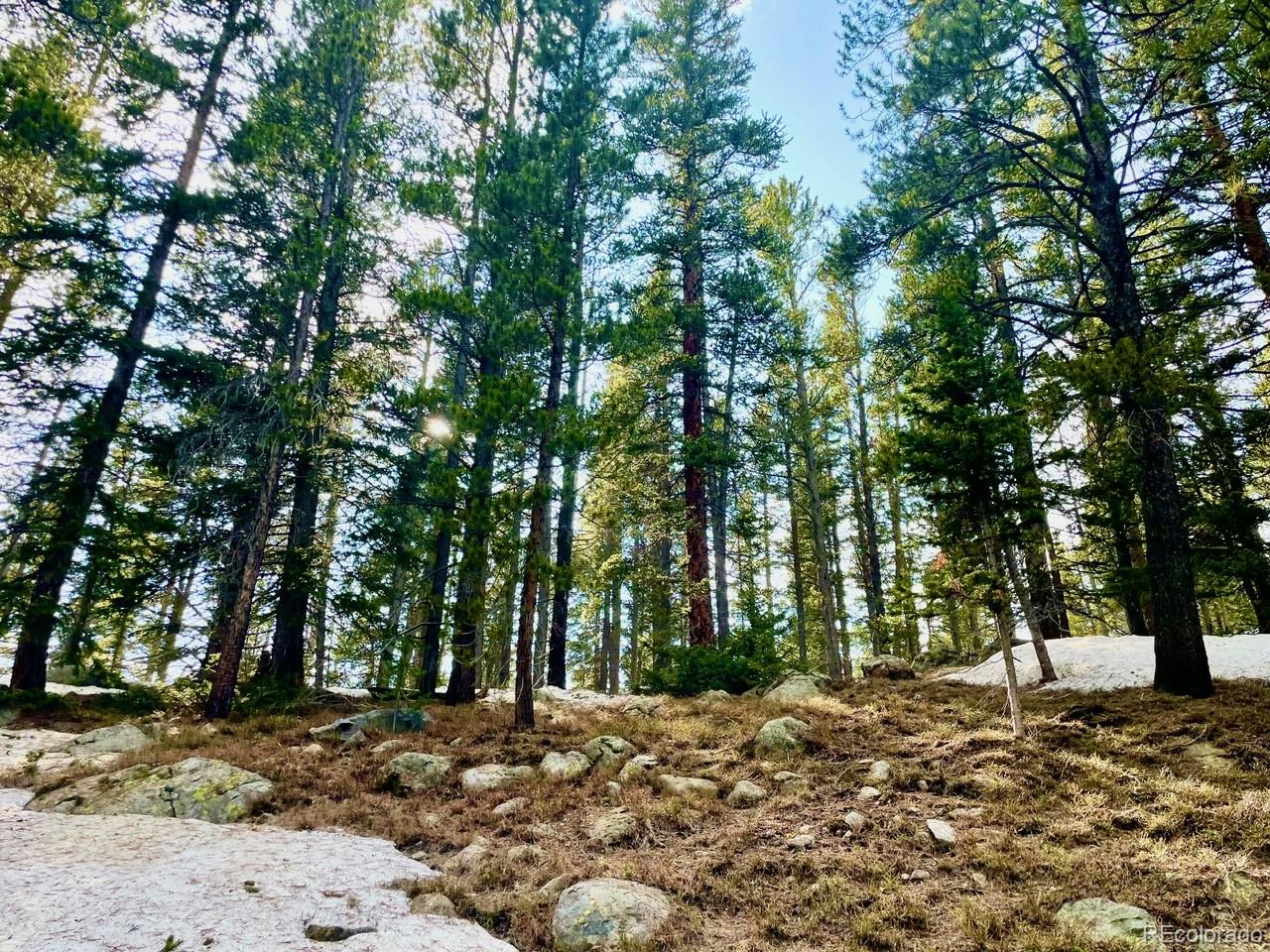0 Lake Road Idaho Springs, CO 80452 - Photo 22 of 30 Gallery Image 22