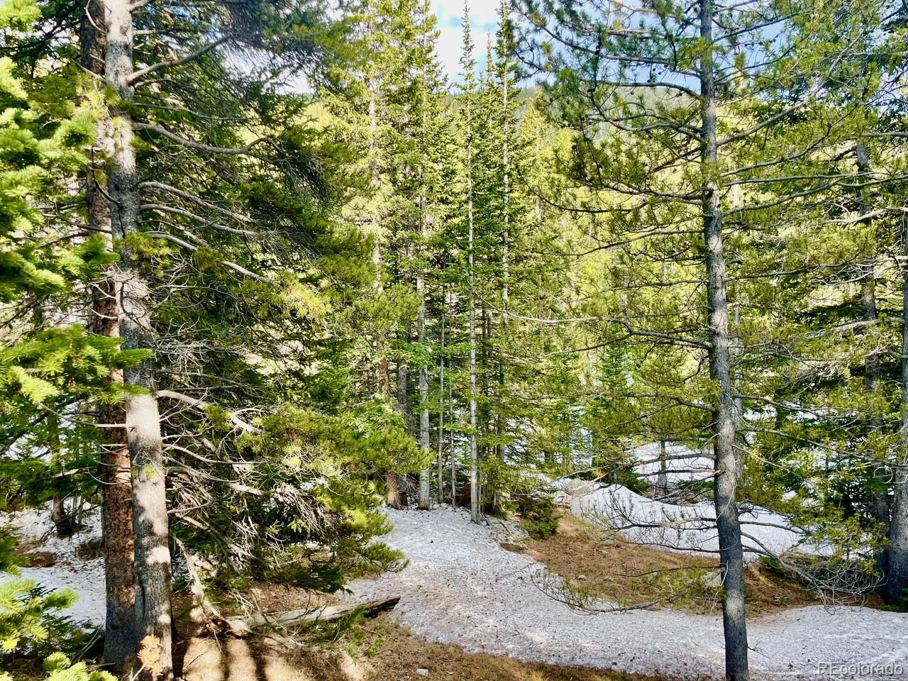 0 Lake Road Idaho Springs, CO 80452 - Photo 23 of 30 Gallery Image 23