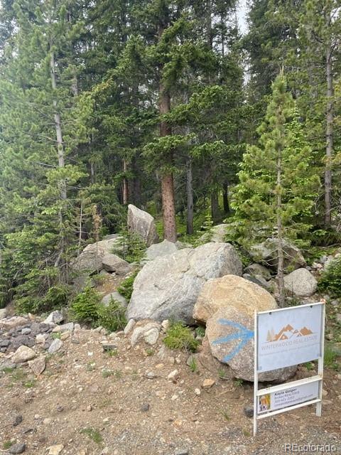 0 Lake Road Idaho Springs, CO 80452 - Photo 30 of 30 Gallery Image 30