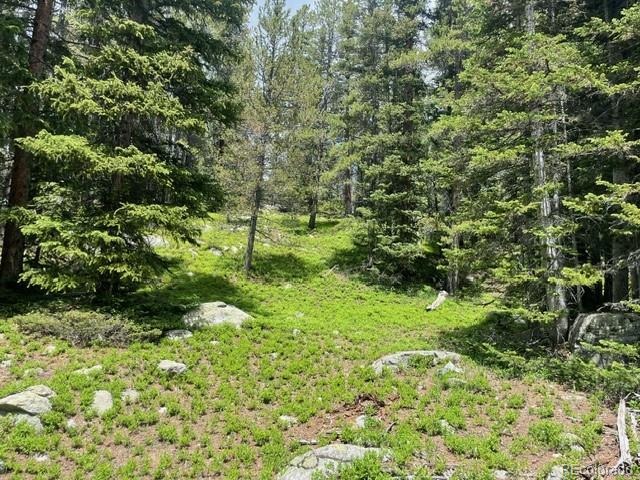 0 Lake Road Idaho Springs, CO 80452 - Photo 3 of 30 Gallery Image 3