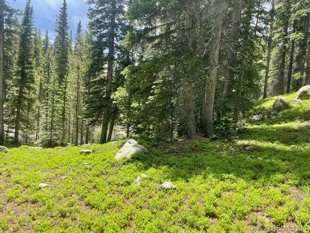 0 Lake Road Idaho Springs, CO 80452 - Photo 4 of 30 Gallery Image 4