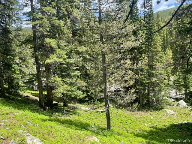 0 Lake Road Idaho Springs, CO 80452 - Photo 6 of 30 Gallery Image 6