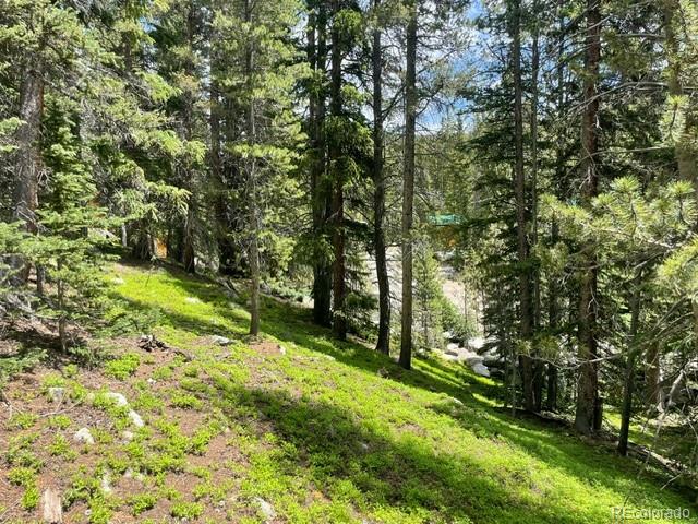 0 Lake Road Idaho Springs, CO 80452 - Photo 7 of 30 Gallery Image 7