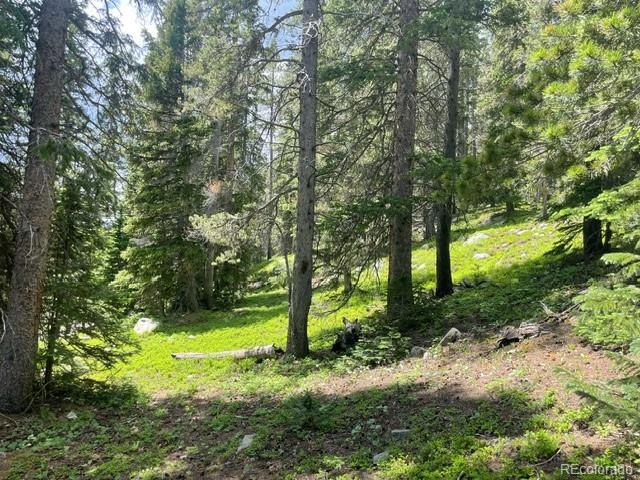 0 Lake Road Idaho Springs, CO 80452 - Photo 8 of 30 Gallery Image 8