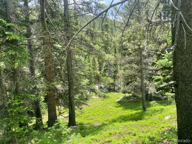 0 Lake Road Idaho Springs, CO 80452 - Photo 9 of 30 Gallery Image 9
