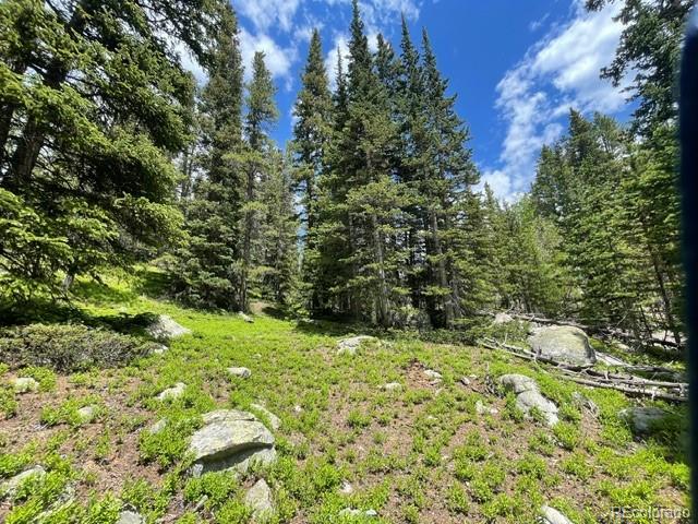 0 Lake Road Idaho Springs, CO 80452 - Photo 10 of 30 Gallery Image 10